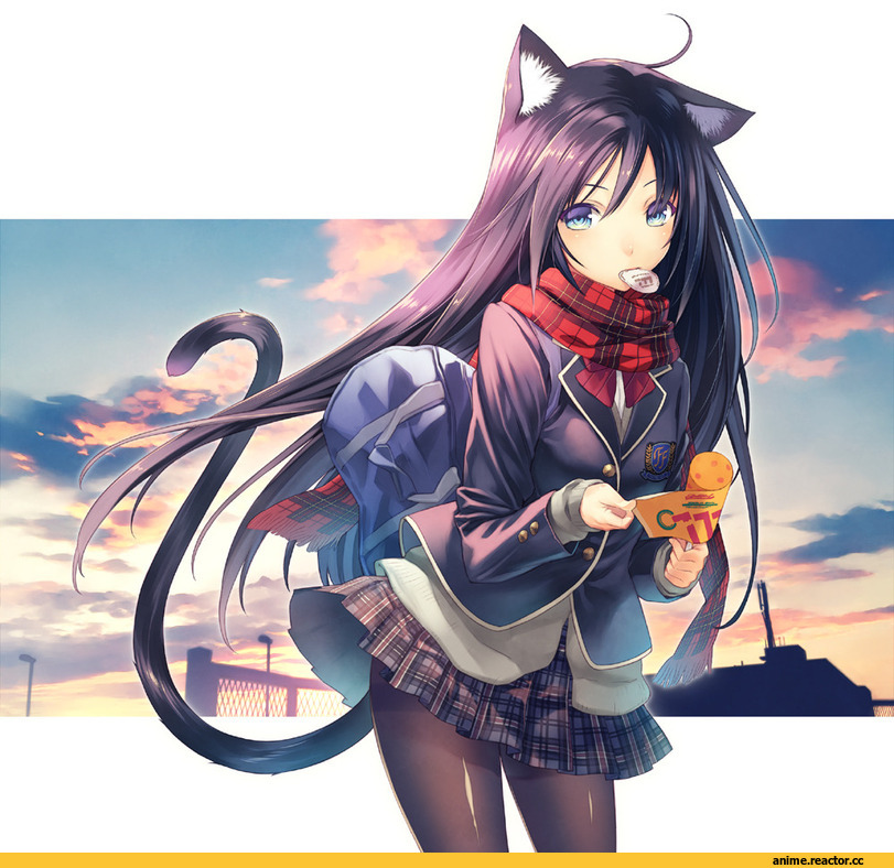 Неко, Animal Ears, Anime