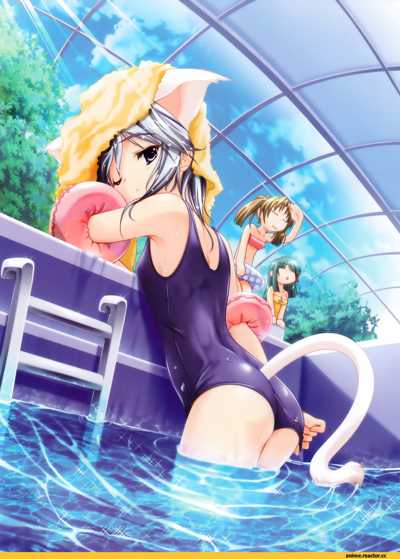 natsu shoujo, azuma ayami, yuuki miyako, serizawa aki, Неко, Animal Ears, Anime