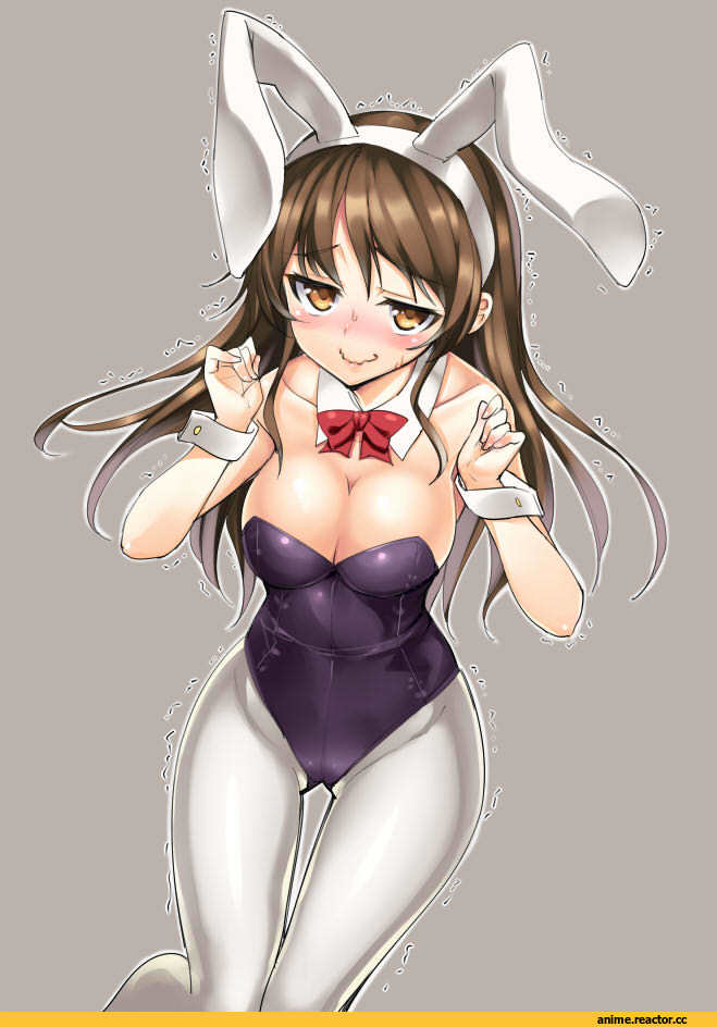 Kantai Collection, Ashigara (kantai collection), Usagimimi, Animal Ears, Anime