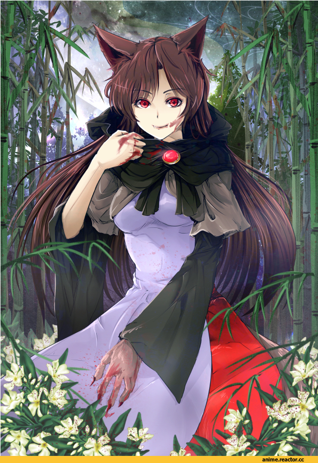 Touhou Project, Imaizumi Kagerou, Сibo (Killy), Inumimi, Animal Ears, Anime