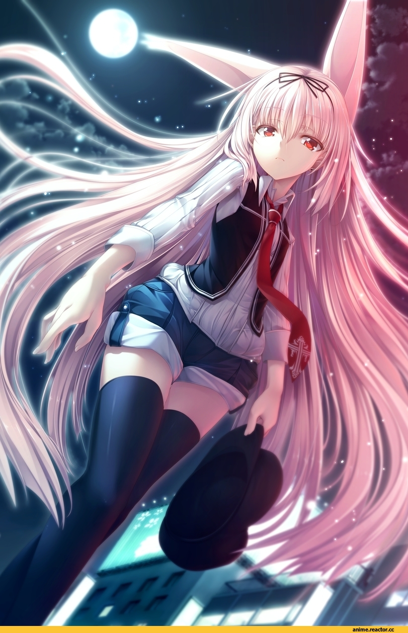 Gleam Garden no Shoujo, Luna the Moon Rider, Usagimimi, Animal Ears, Anime