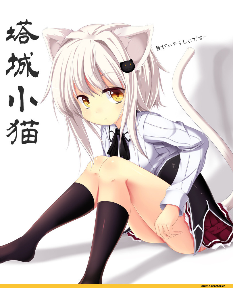 High School DxD, Toujou Koneko, neko, Animal Ears, Anime