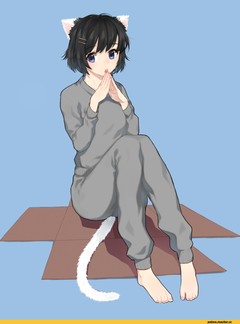 Neko Mofumofu, neko, Monogatari Series, Tsubasa Hanekawa, Animal Ears, Anime