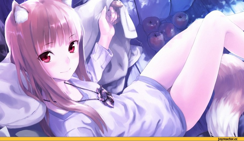 лисица, Миора, Horo, Spice and Wolf, Animal Ears, Inumimi, Anime