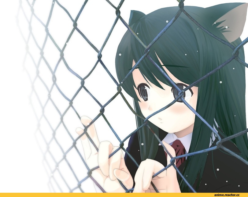 Неко, Animal Ears, Anime