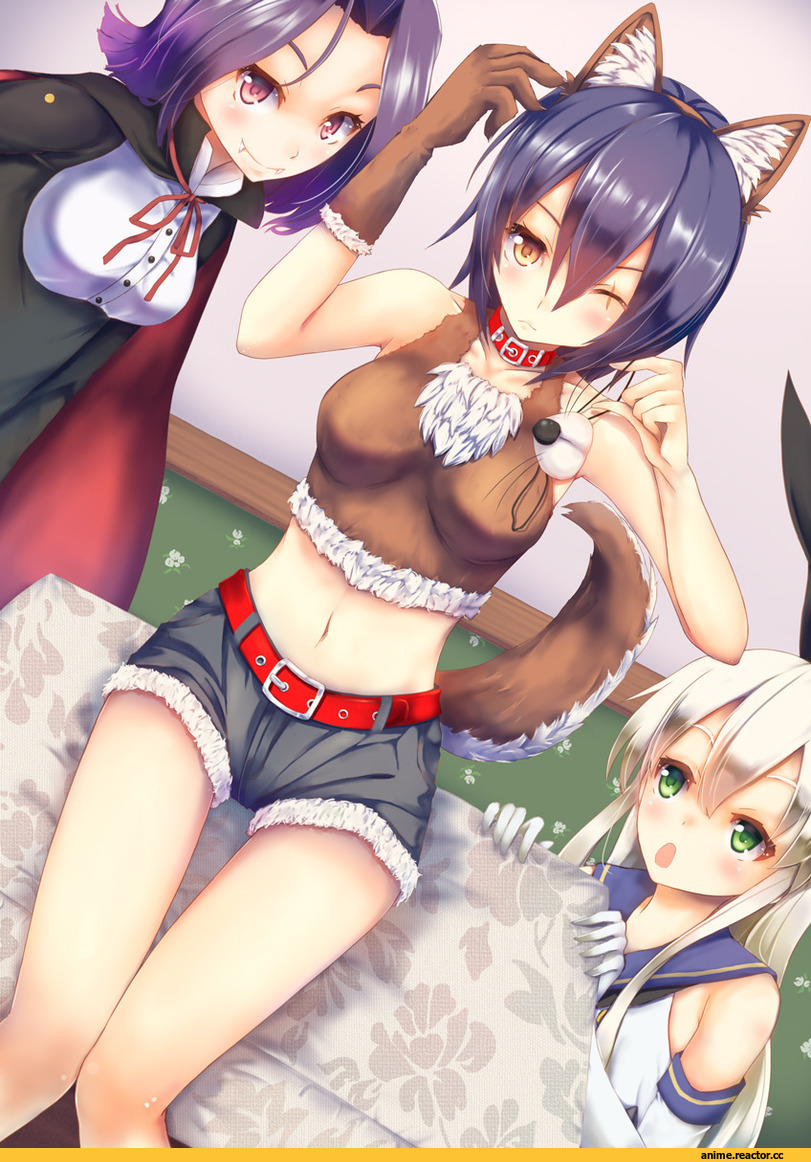 Kantai Collection, Shimakaze, Tenryuu, Tatsuta, Animal Ears, Inumimi, Anime
