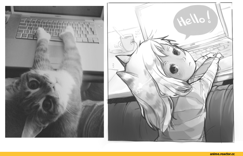 neko, кот, живность, Lin, Animal Ears, Anime