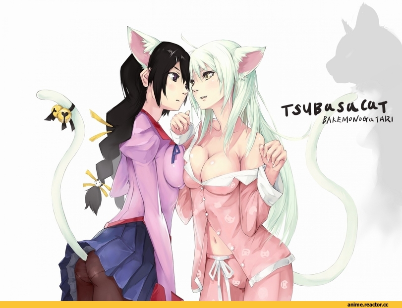 Monogatari (Series), Неко, Hanekawa Tsubasa, Animal Ears, Anime