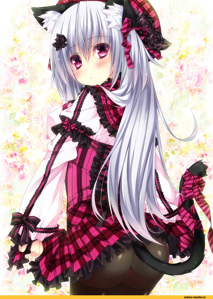 Anime Original, Неко, Animal Ears, Anime