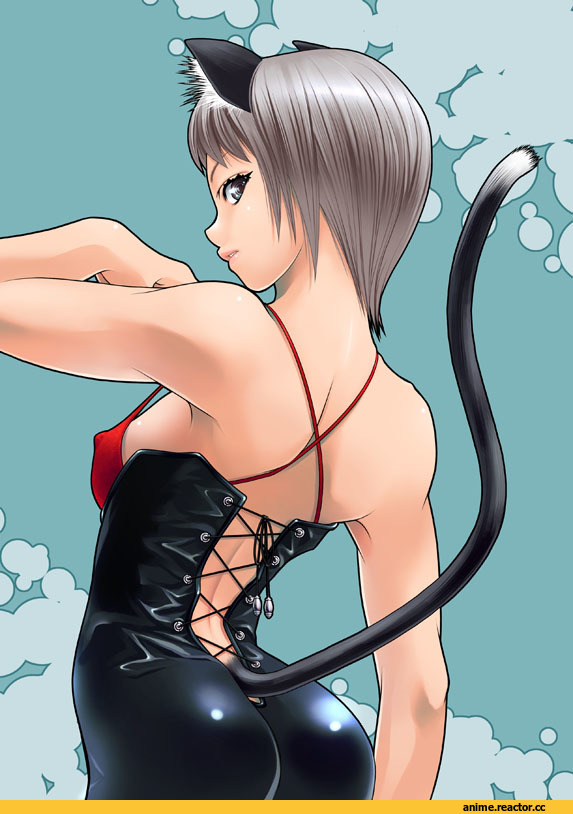 Неко, Anime Original, Asaki Takayuki, Animal Ears, Anime