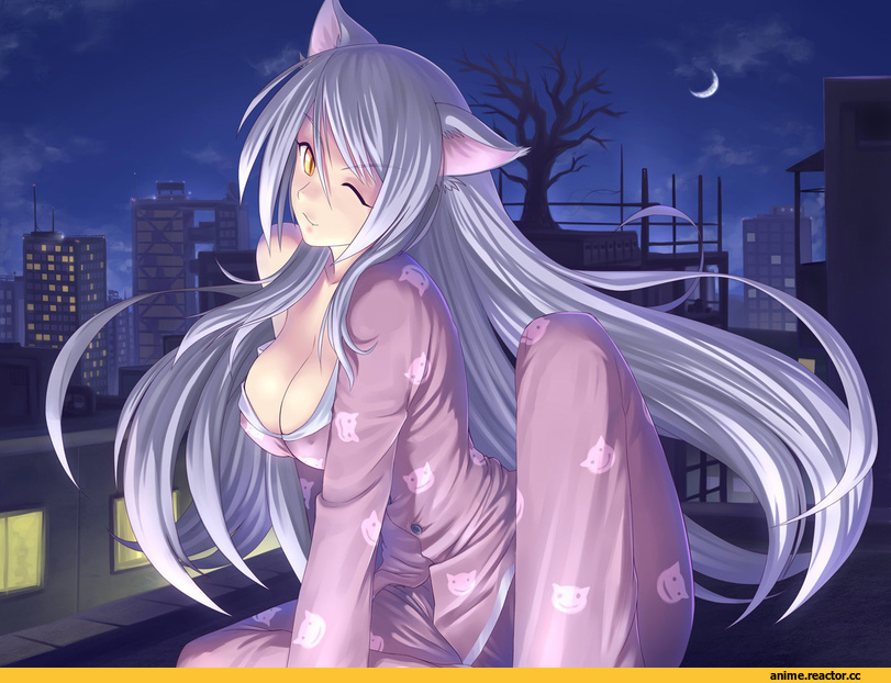 Monogatari (Series), neko, Black Hanekawa, Animal Ears, Anime