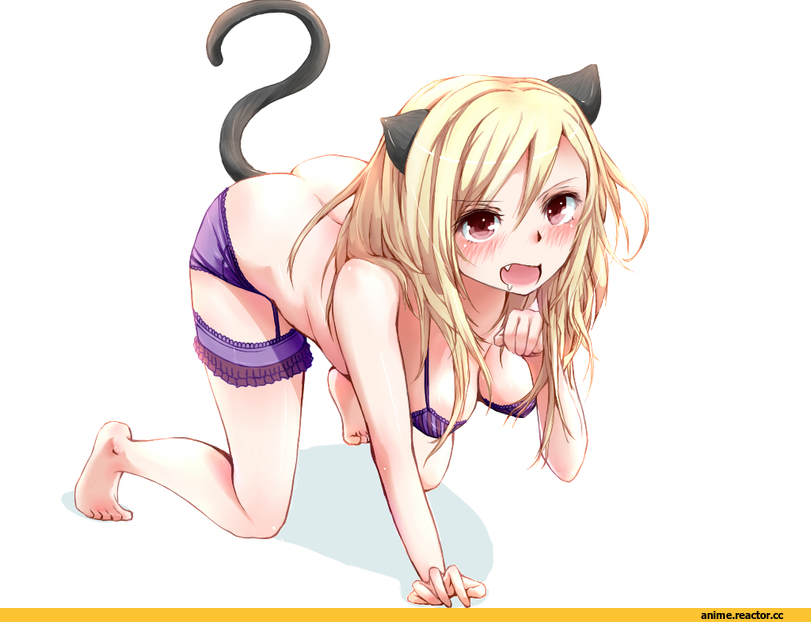 neko, Animal Ears, Anime
