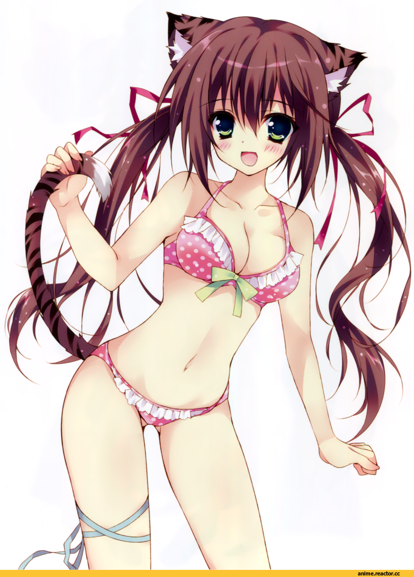 herurun, neko, Animal Ears, Anime