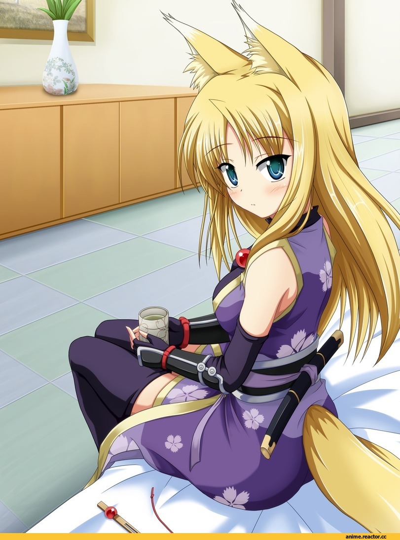 Dog Days, Yukikaze Panettone, Kitsune, Animal Ears, Опасные Няшки, Anime Няши, Anime