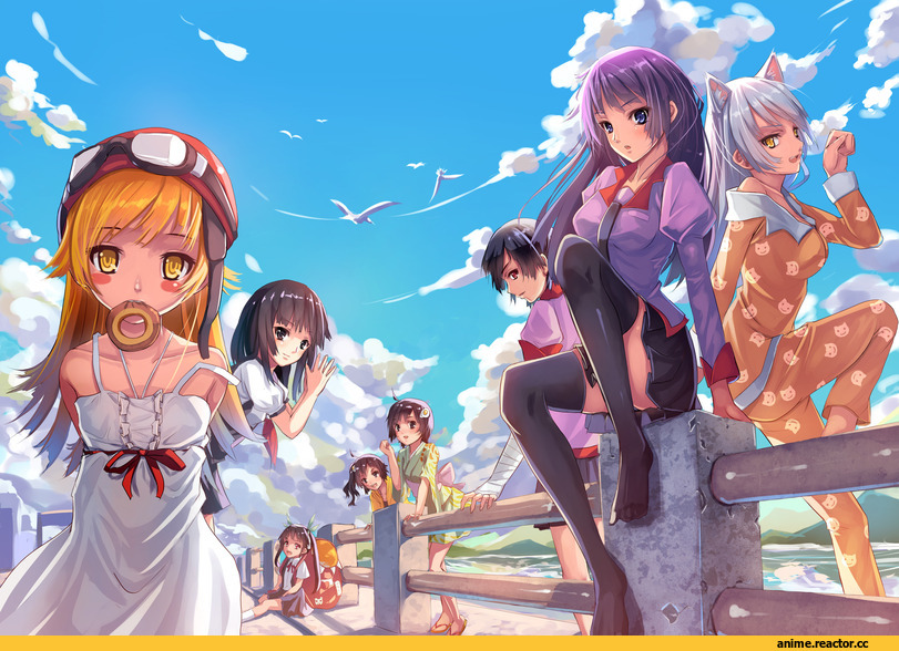 Weiyinji XSK, Oshino Shinobu, Sengoku Nadeko, Hachikuji Mayoi, Araragi Karen, Araragi Tsukihi, Kanbaru Suruga, Senjougahara Hitagi, Black Hanekawa, Неко, Anime, Monogatari (Series), Animal Ears