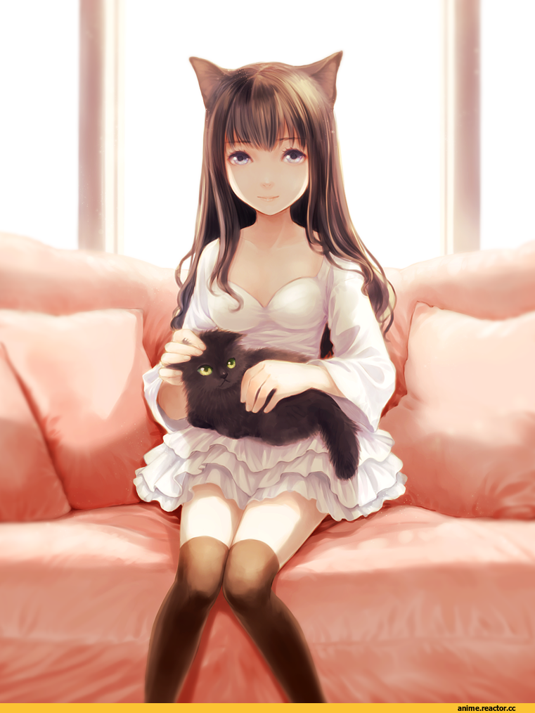 neko, Ao Jiro, Animal Ears, Anime