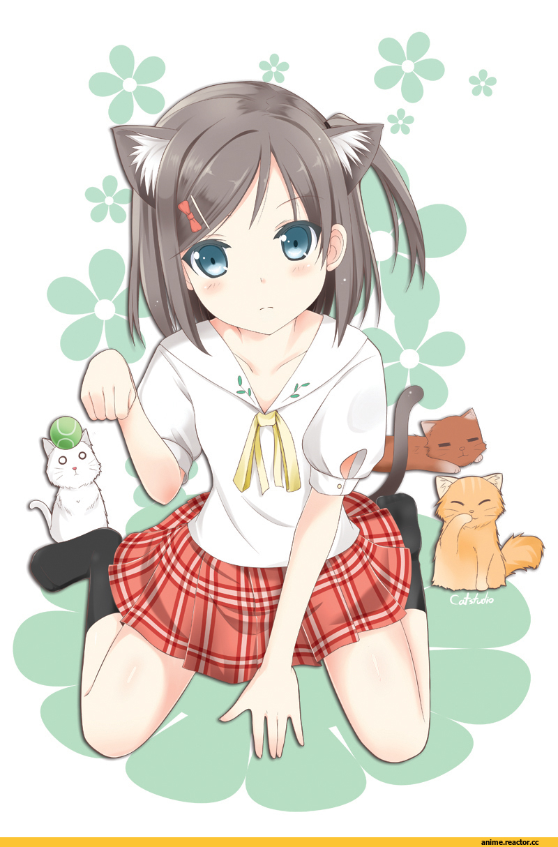 Tsutsukakushi Tsukiko, hentai ouji to warawanai neko, catstudioinc (punepuni), neko, Animal Ears, Anime