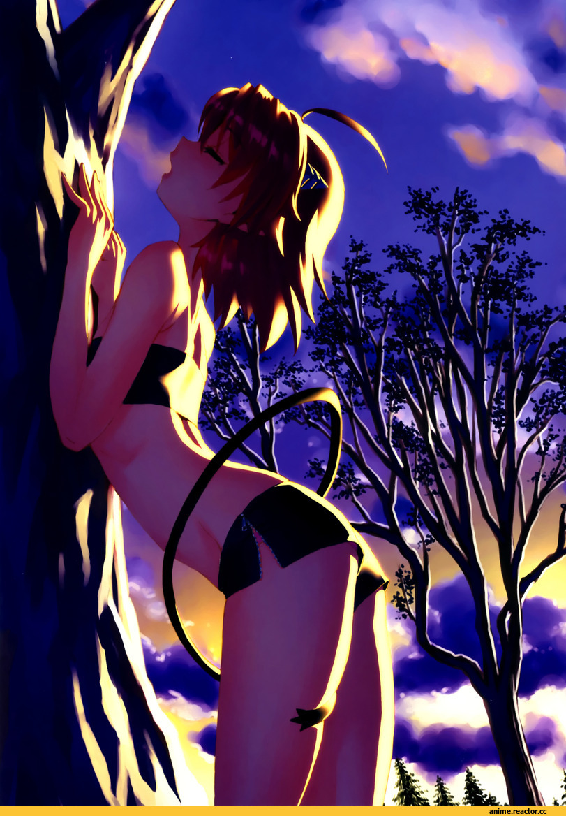 stray little devil, akumachi pam, Неко, Animal Ears, Anime