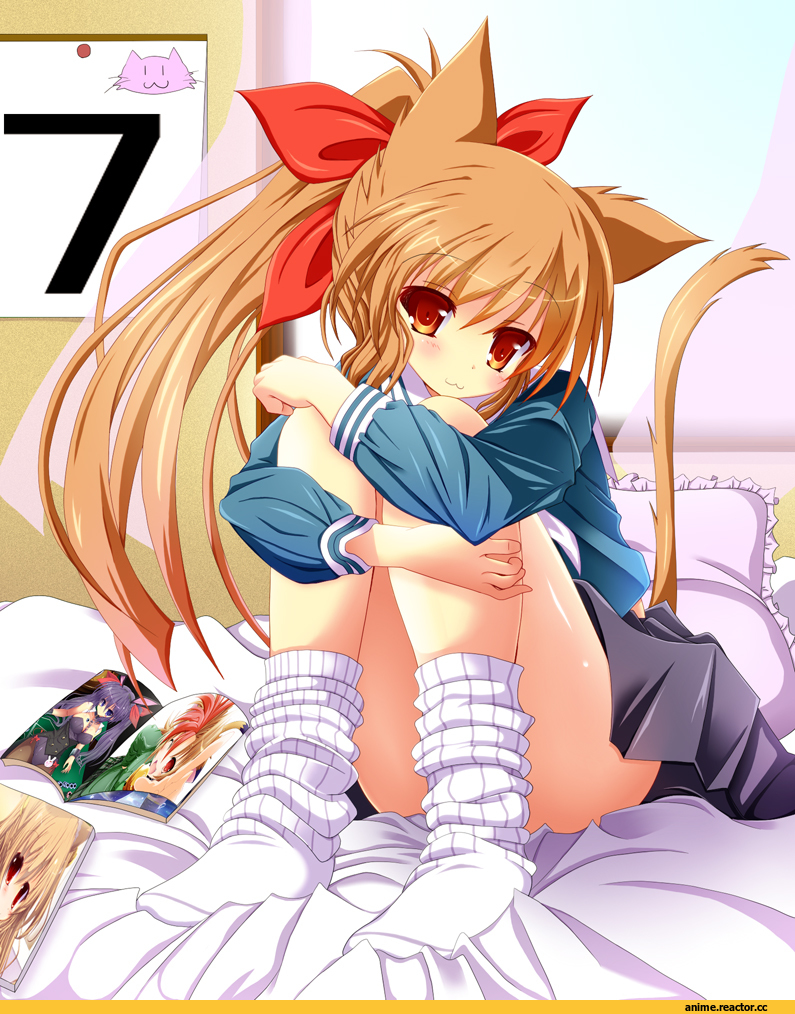 Anime Original, Неко, Animal Ears, Anime