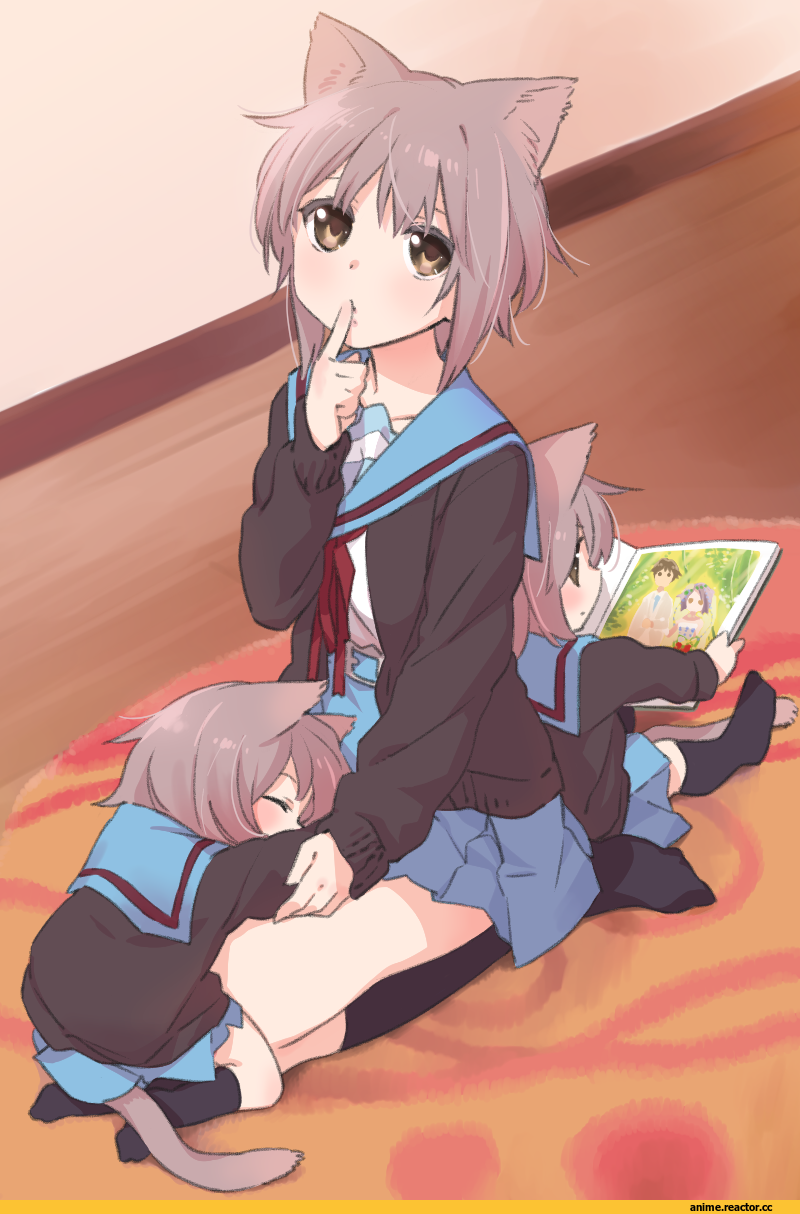 suzumiya haruhi no yuuutsu, neko, Animal Ears, Anime