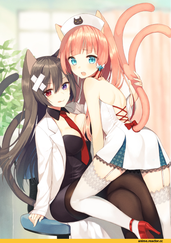 Anime Original, midorikawa you, Неко, Animal Ears, Anime
