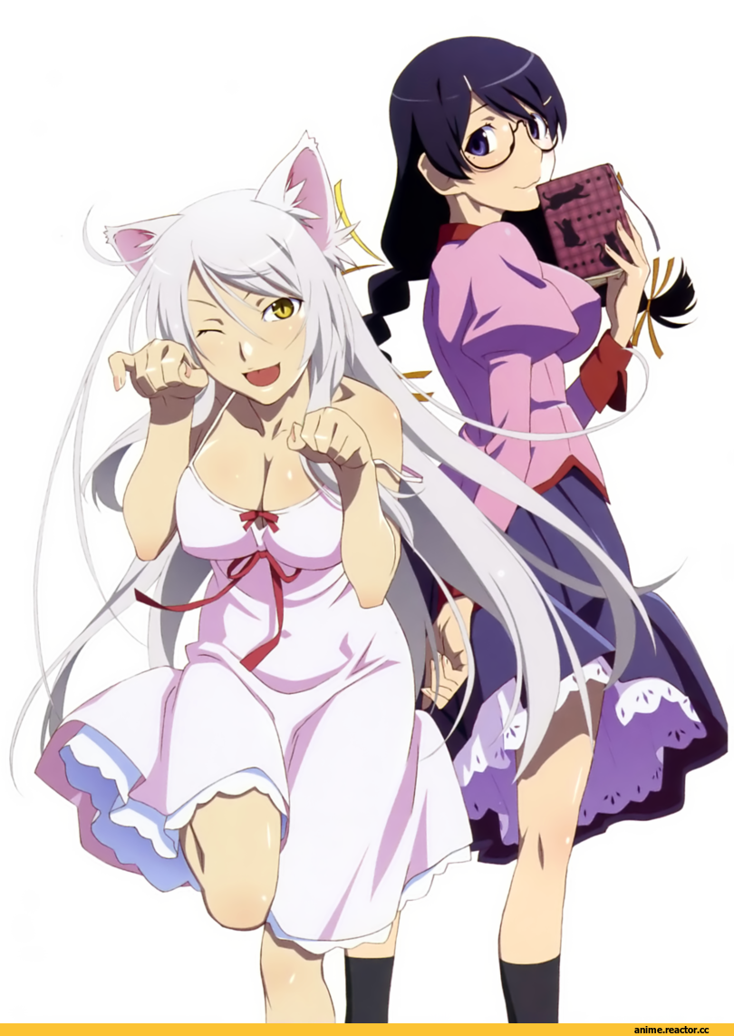 Nekomonogatari, Black Hanekawa, продолжение под катом, Неко, Animal Ears, Anime