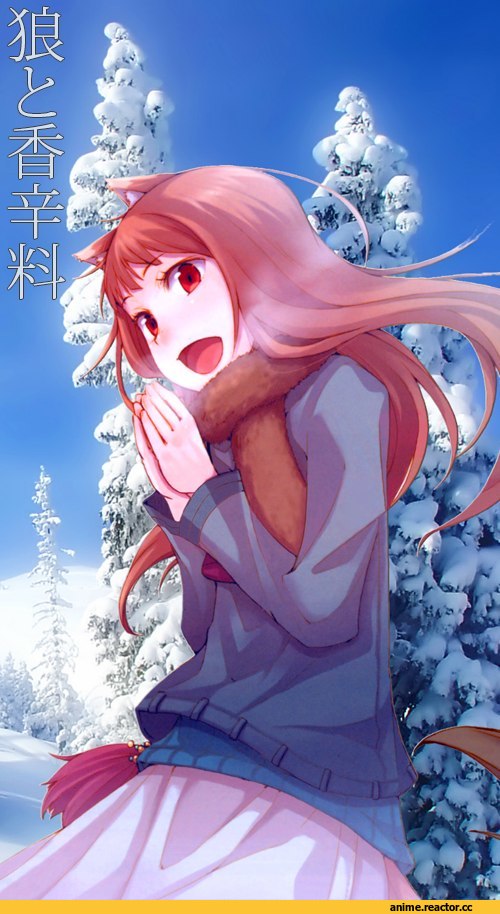 Spice and Wolf, Holo, Ookami, Animal Ears, Inumimi, Anime