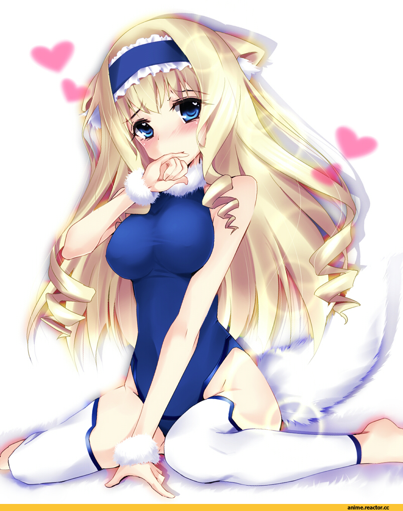 Infinite Stratos, cecilia alcott, Kitsune, Animal Ears, Anime