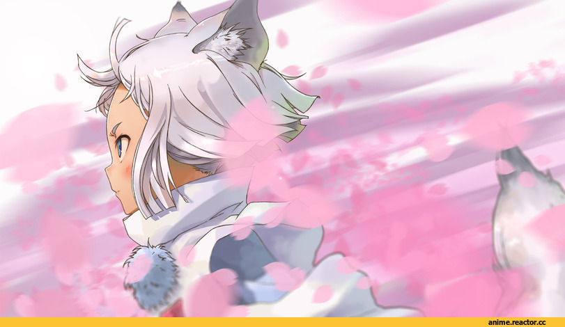 Tokyo Ravens, обои, красивые картинки, kon, Kitsune, Animal Ears, Anime