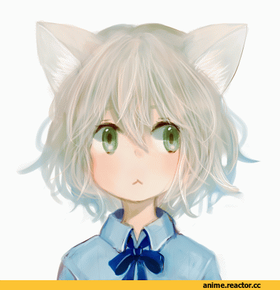 Аниме гифки, Anime Original, neko, гифки, Animal Ears, Anime