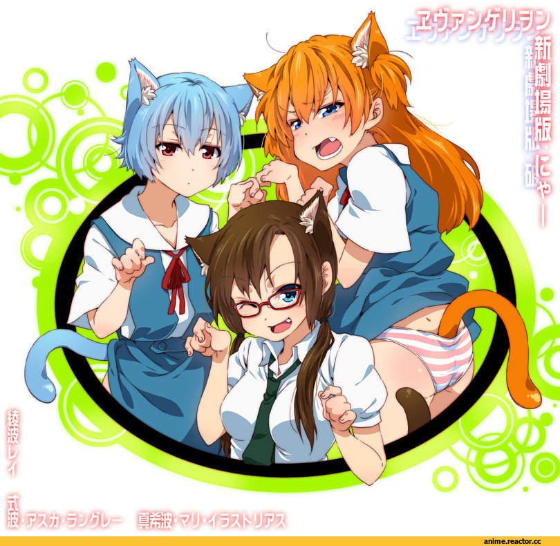 Evangelion, neko, Makinami Mari, asuka langley soryu, ayanami rei, Animal Ears, Anime