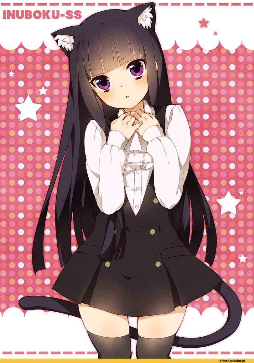 inu x boku ss, shirakiin ririchiyo, Неко, Animal Ears, Anime
