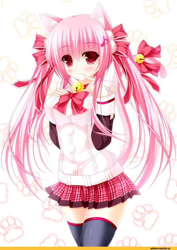 neko, Animal Ears, Anime