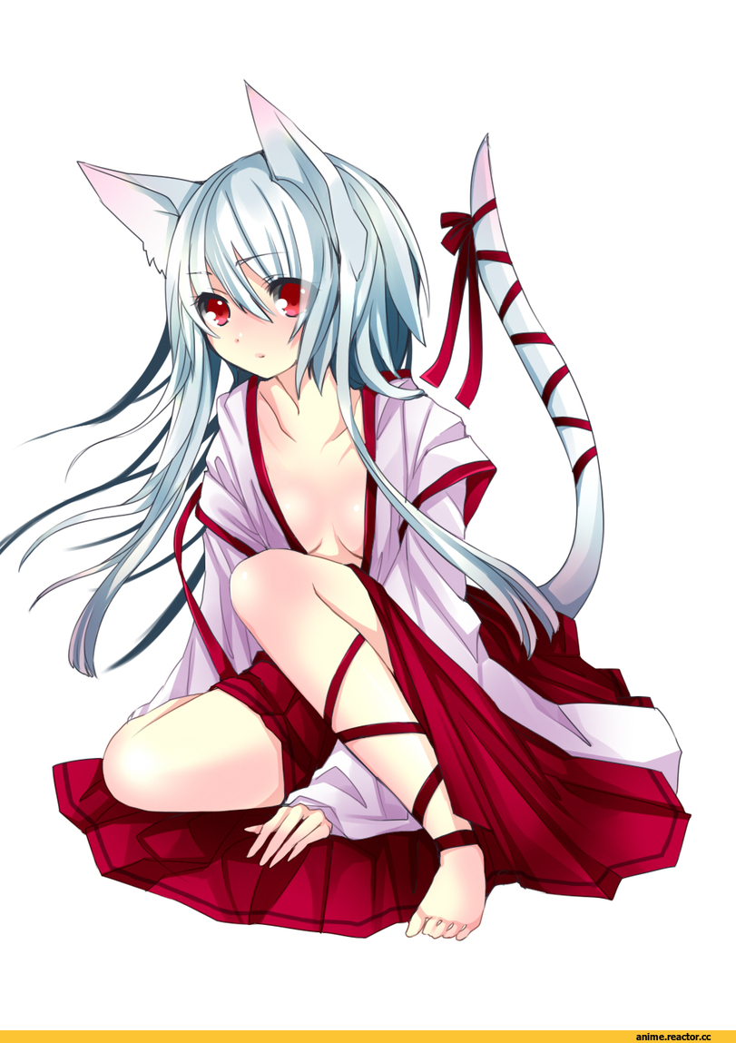 Anime Original, Неко, Animal Ears, Anime