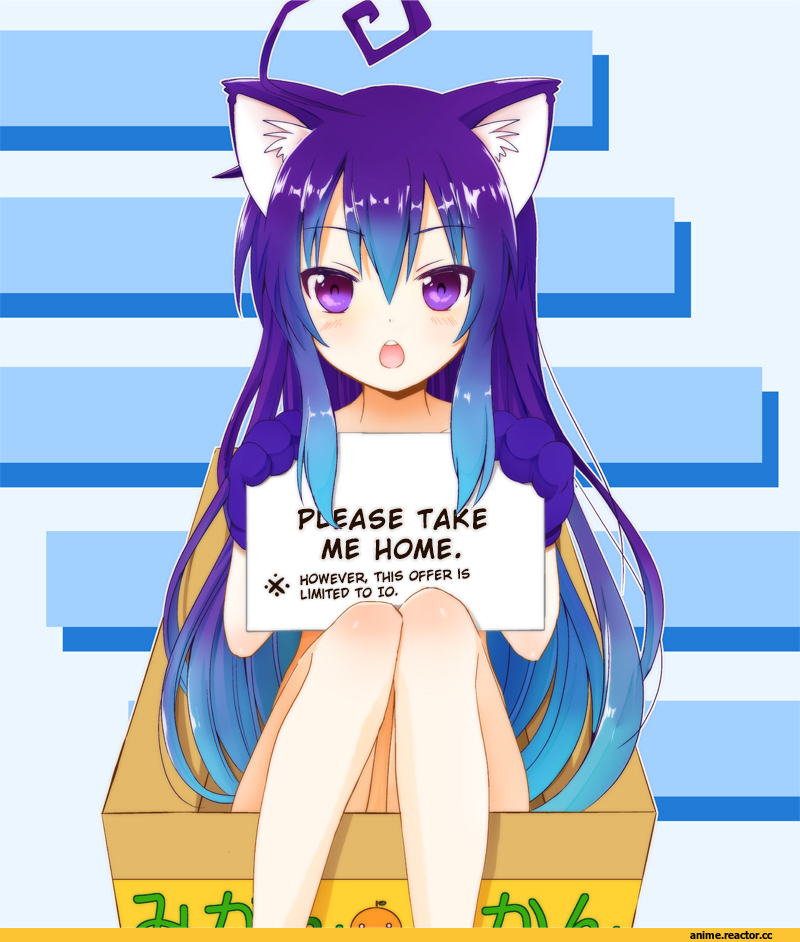 Acchi Kocchi, Tsumiki Miniwa, neko, Animal Ears, Anime