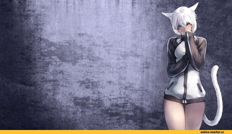 neko, Animal Ears, Anime