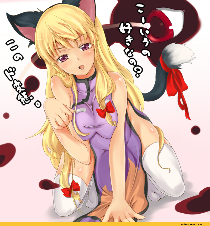 Yakumo Yukari, Touhou Project, fesuta, neko, Animal Ears, Anime