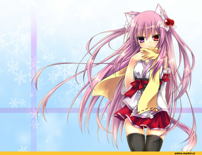 Anime Original, Неко, Animal Ears, Anime