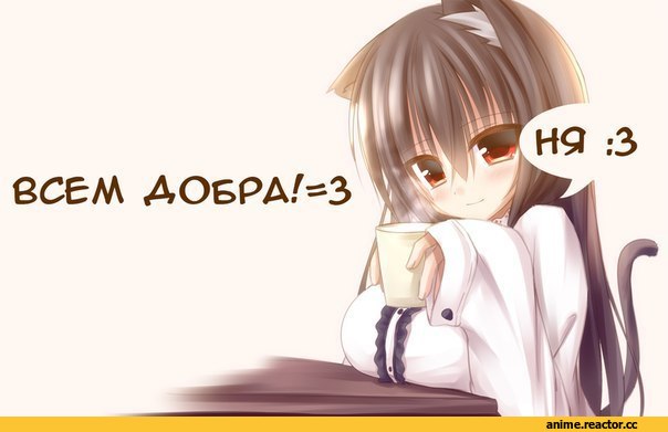 neko, Animal Ears, Anime