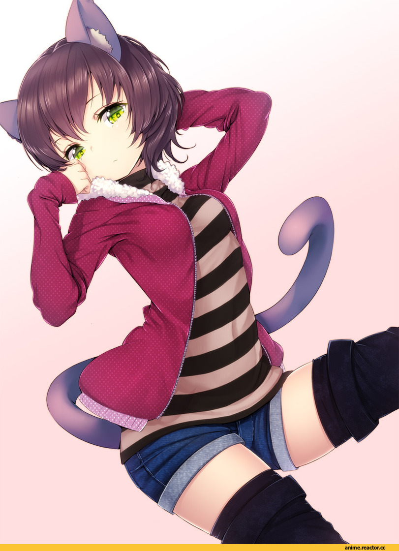 neko, zizi (zz22), под катом еще, Animal Ears, Anime