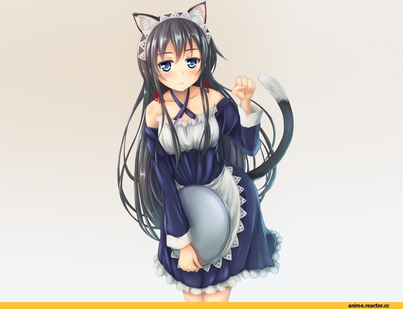 neko, Animal Ears, Anime