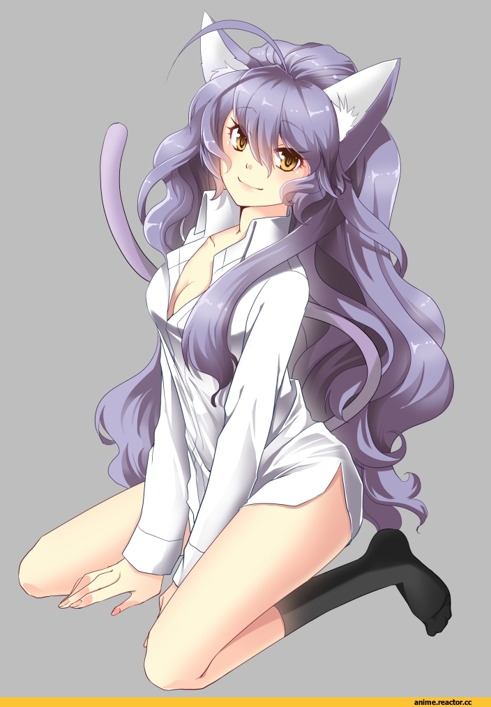 Anime Original, Неко, Animal Ears, Anime
