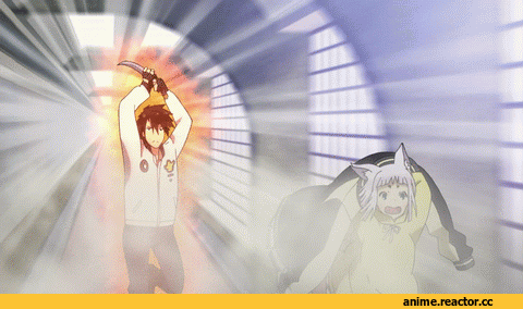 anime gif, Tokyo Ravens, kon, Kitsune, Animal Ears, Anime