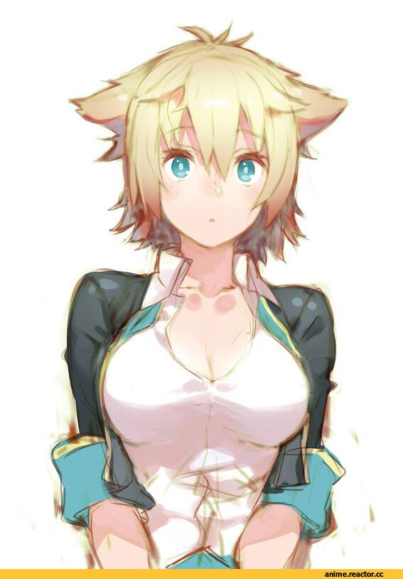 art, красивые картинки, neko, kirara bernstein, Animal Ears, Anime