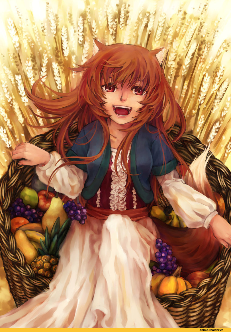 Spice and Wolf, Horo, Animal Ears, Inumimi, Anime