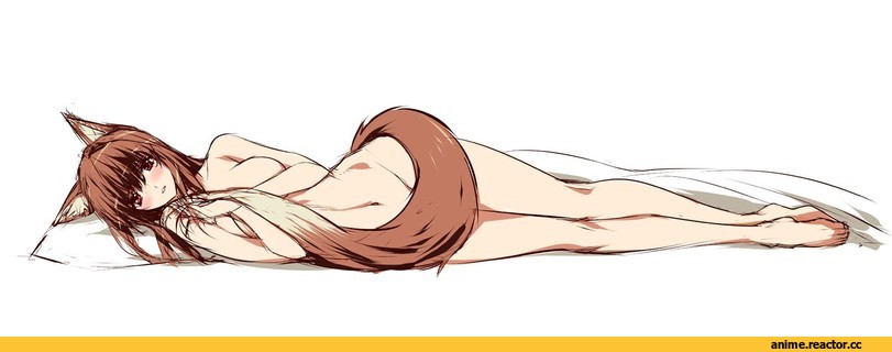 Spice and Wolf, Horo, Animal Ears, Inumimi, Anime