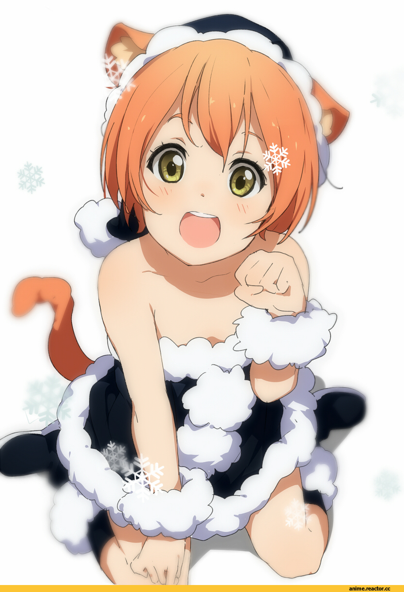 Love Live!, Hoshizora Rin, Неко, Animal Ears, Anime