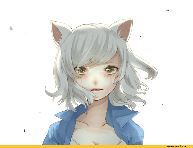 Monogatari (Series), Hanekawa Tsubasa, Неко, Animal Ears, Anime