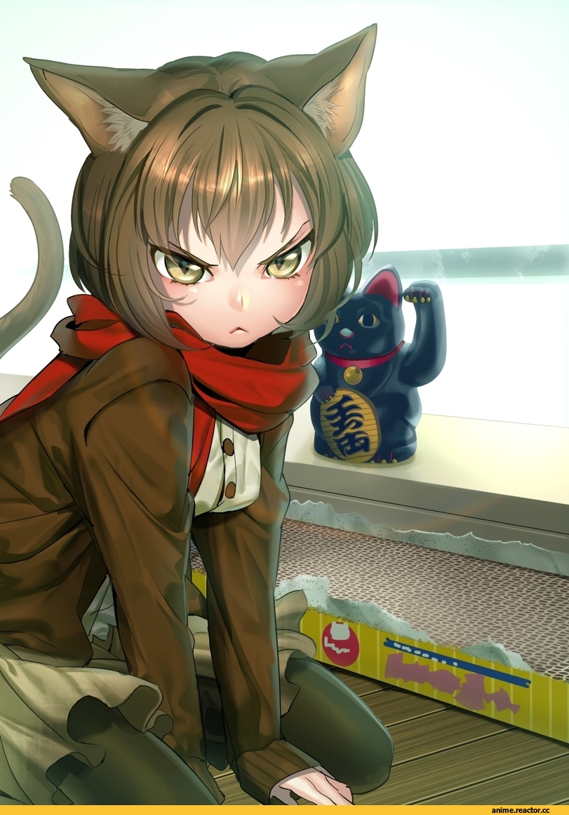 Неко, сердитые няшки, maneki neko, Animal Ears, Anime