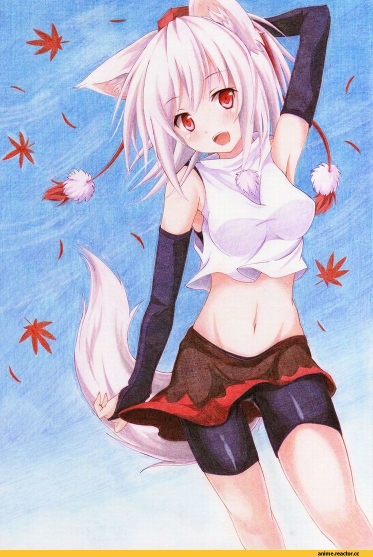 Touhou Project, Inubashiri Momiji, Animal Ears, Inumimi, Anime